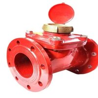 Woltman Type Hot Water Meter - Color: Red