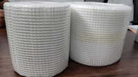190 GSM Fiberglass Mesh