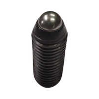 Screw Type Spring Plunger - Finish: Polished