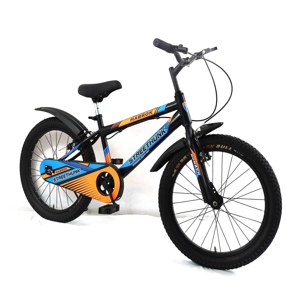 HBK-KD-06B 20T STREET HUNK, NIBC, STEEL RIM, RIGID FORK, V/BRAKE, 20x2.40