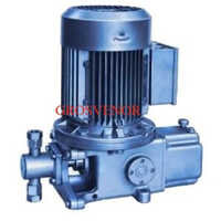 Trisodium Phosphate Dosing Pump