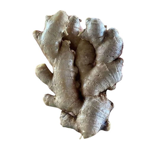Fresh Ginger