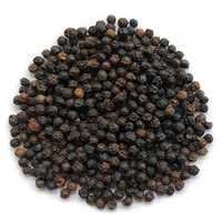 Organic Black Pepper