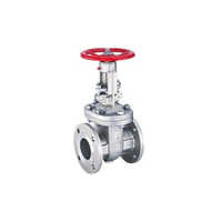 Stainless steel Gate valve
