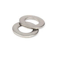 Super Duplex Plain Washer