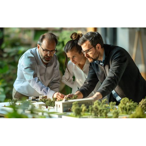 Biodiesel Plant Project Consultancy Service