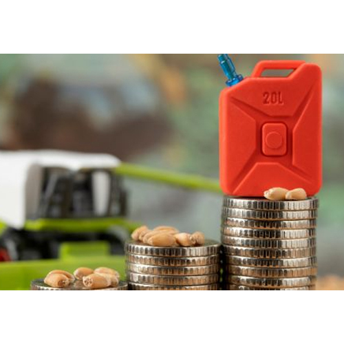 Biodiesel Plant Financial Planning Service