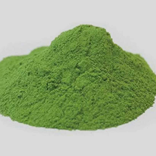 Dried Palak Powder - Color: Green