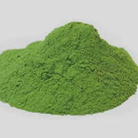 Dried Palak Powder - Color: Green