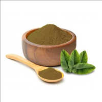 Banaba Leaf Extract - Grade: Rh