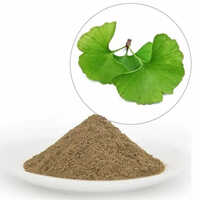 Ginkgo Biloba Extract (Maidenhair Tree)