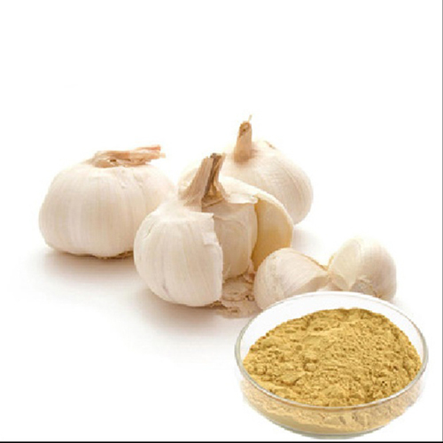 Garlic Extract - Grade: Medicine Grade