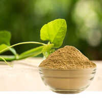 Cissus Quadrangularis Extract, - Ingredients: Herbal Extract