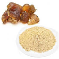 Guggul Extract - Moisture (%): Nil