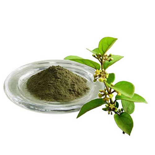 Gudmar Extract - Application: Medicine