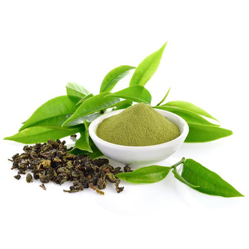 Green Tea Extract - Moisture (%): Nil