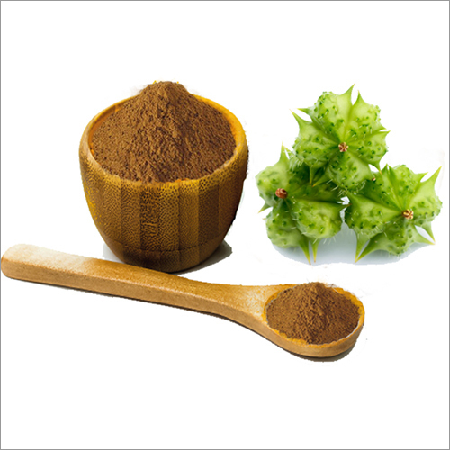 Gokhru Extract (Tribulus) - Moisture (%): Nil