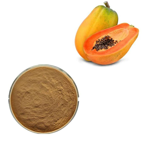 Papaya Extract - Grade: Medicine Grade