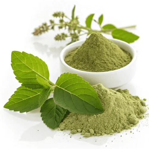 Tulsi Extract (Ocimum Sanctum) - Moisture (%): Nil
