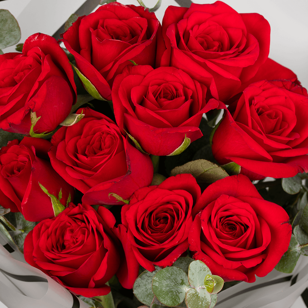 Red Rose