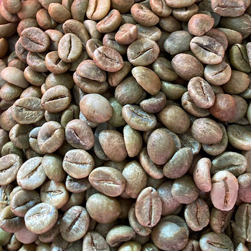 Robusta Cherry (Rc Aa) Coffee Beans - Cultivation Type: Organic