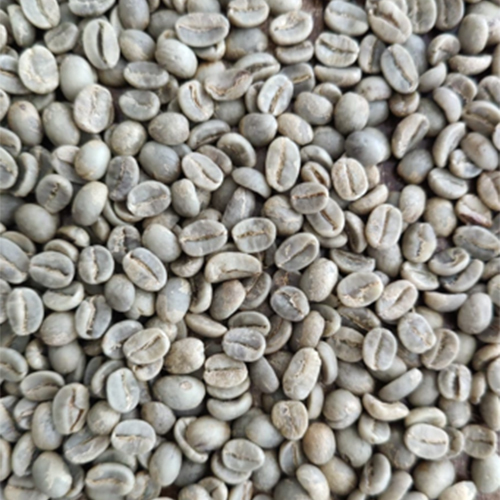 Arabica Cherry (Ac Aa) Coffee Beans - Cultivation Type: Organic