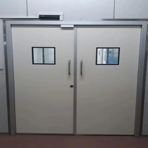 46mm Mild Steel Clean Room Door
