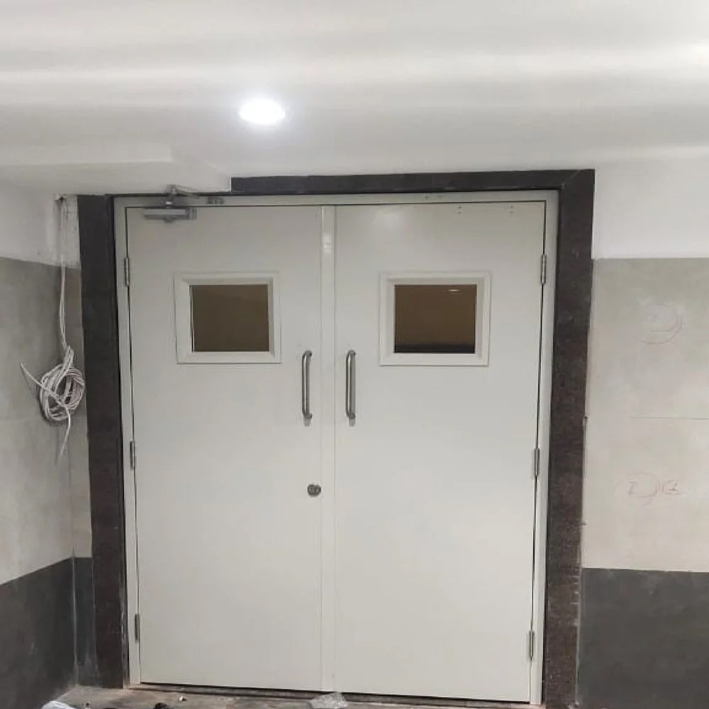 46mm Mild Steel Clean Room Door