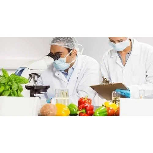 Testing Laboratory Services