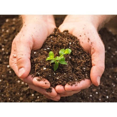 Soil Testing Laboratories Services