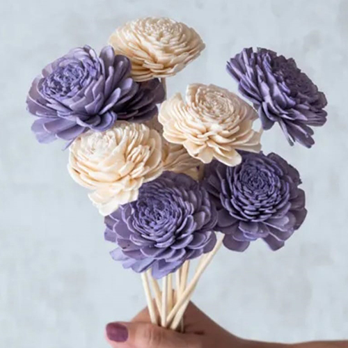 Bunch Of Sola Flower