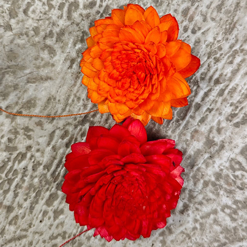 Red Sola Flower