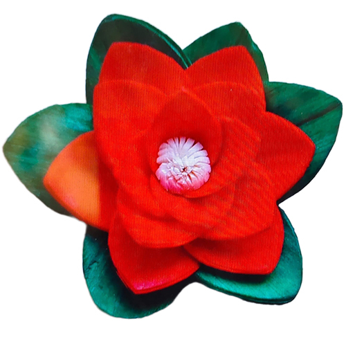 Orange Sola Flower