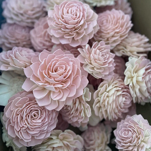 Sola Flower