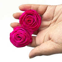 Pink Sola Flower - Shelf Life: 1-2 Years