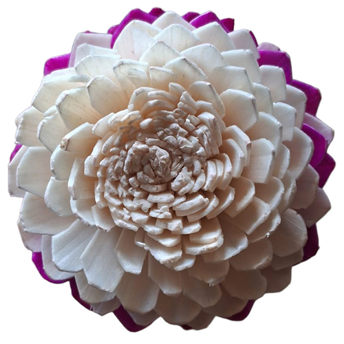 Fancy Sola Flower