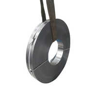 Metal Strip
