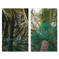 Coconut Tree Safety Nets