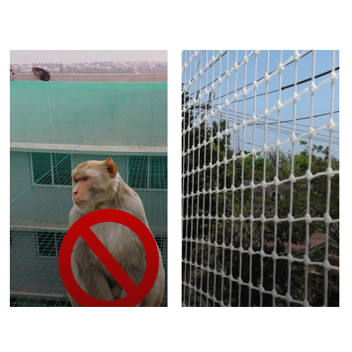 Monkey Safety Nets