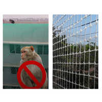 मंकी सेफ्टी नेट्स