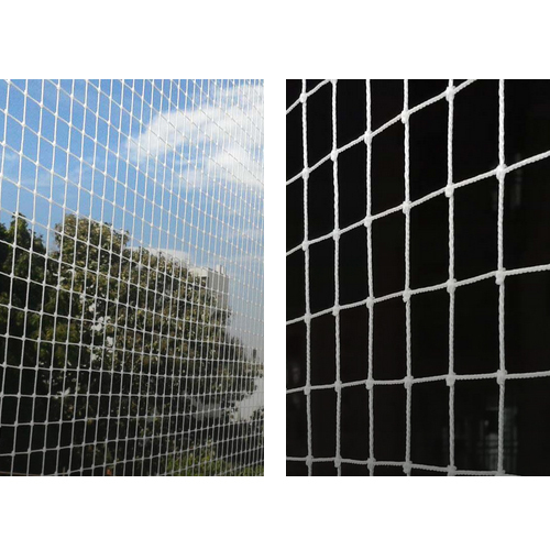 Pigeon Safety Nets