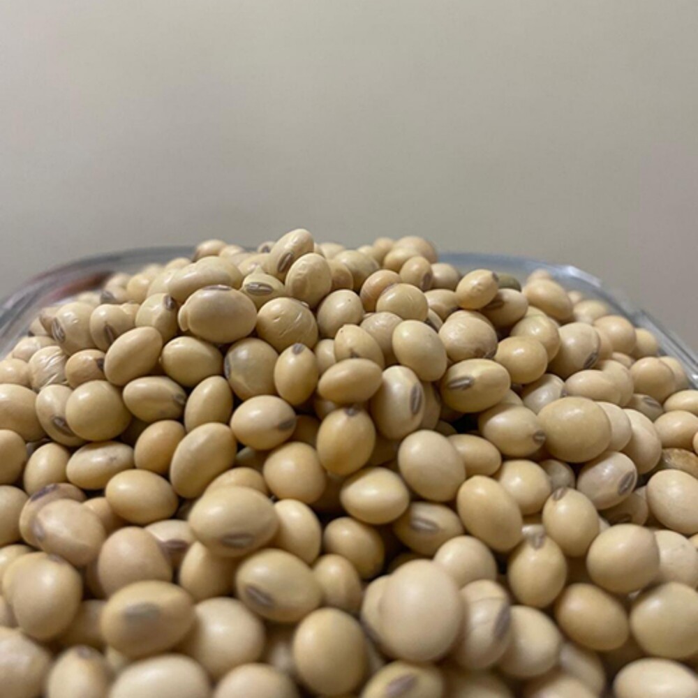 Natural Soy Bean - Color: Yellow