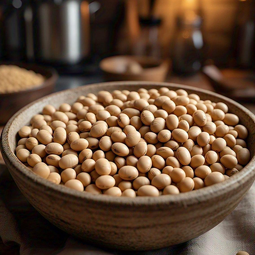 Soy Bean