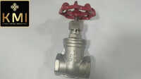 SS Gate Valve