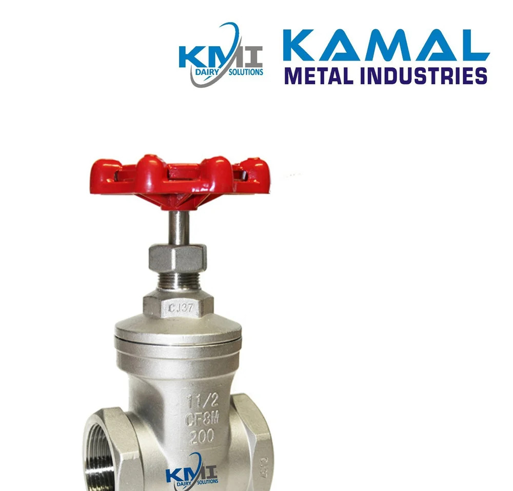 Ss Gate Valve - Color: Silver