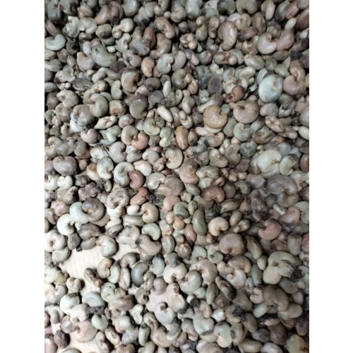 Conakry Raw Cashew Nut - Cultivation Type: Organic