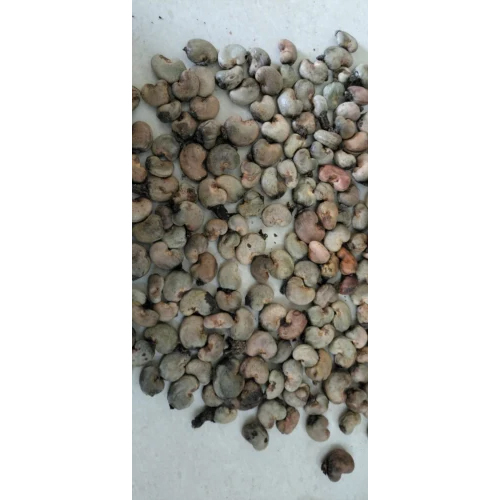Tanzania Raw Cashew Nut - Cultivation Type: Organic