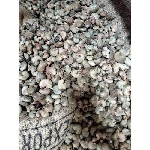 Togo Benin Raw Cashew Nut - Cultivation Type: Organic