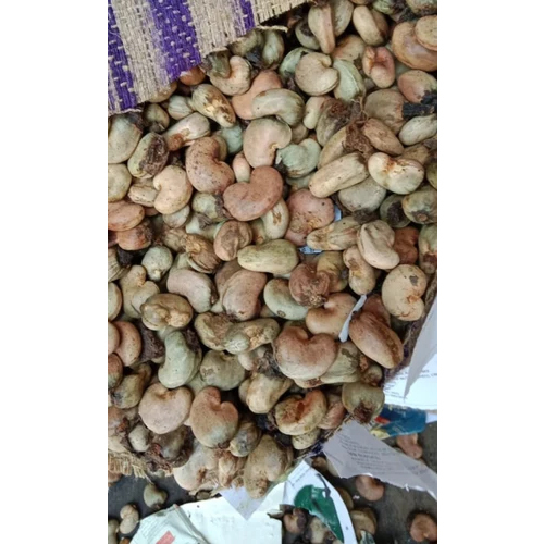 Ivc Raw Cashew Nut - Cultivation Type: Organic