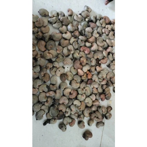 Raw Cashew Nut - Organic, Graded 50 Plus LBS, 9% Moisture, Dried, 12 Months Shelf Life | Versatile for Food Production & Culinary Uses